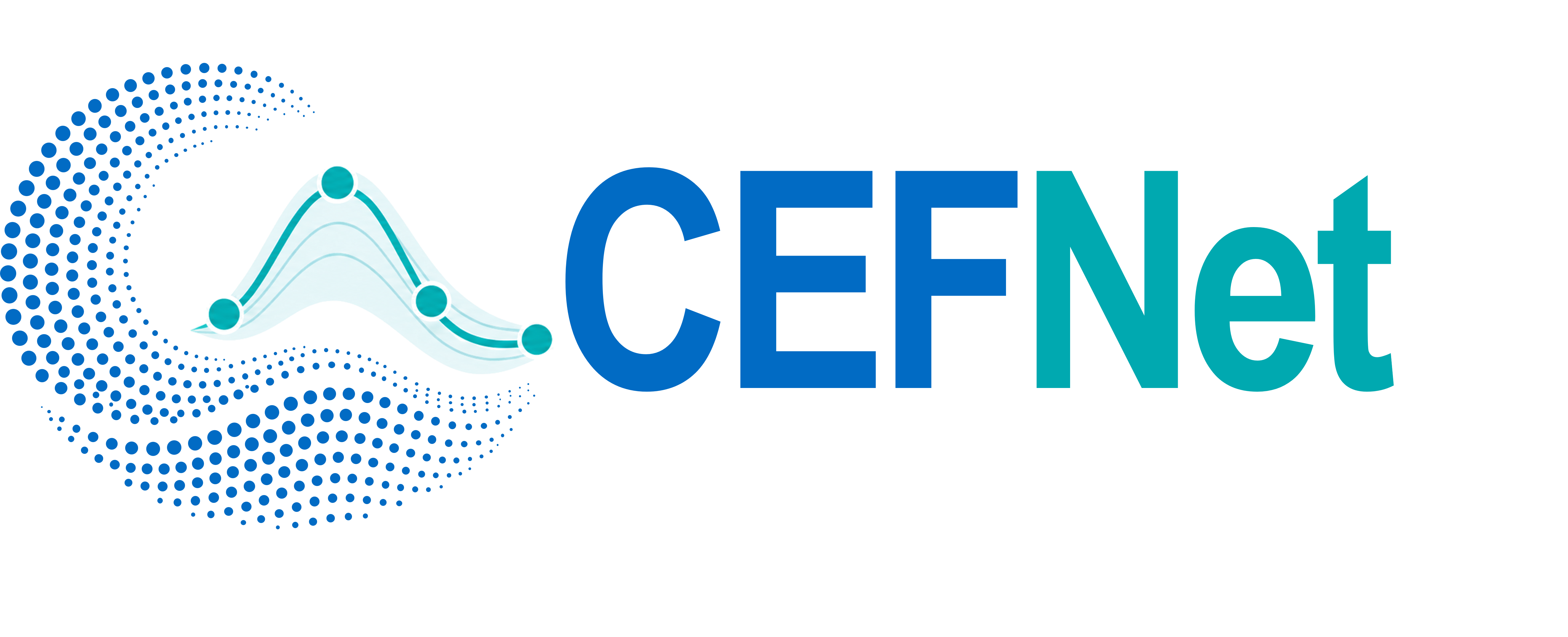 CEFNet